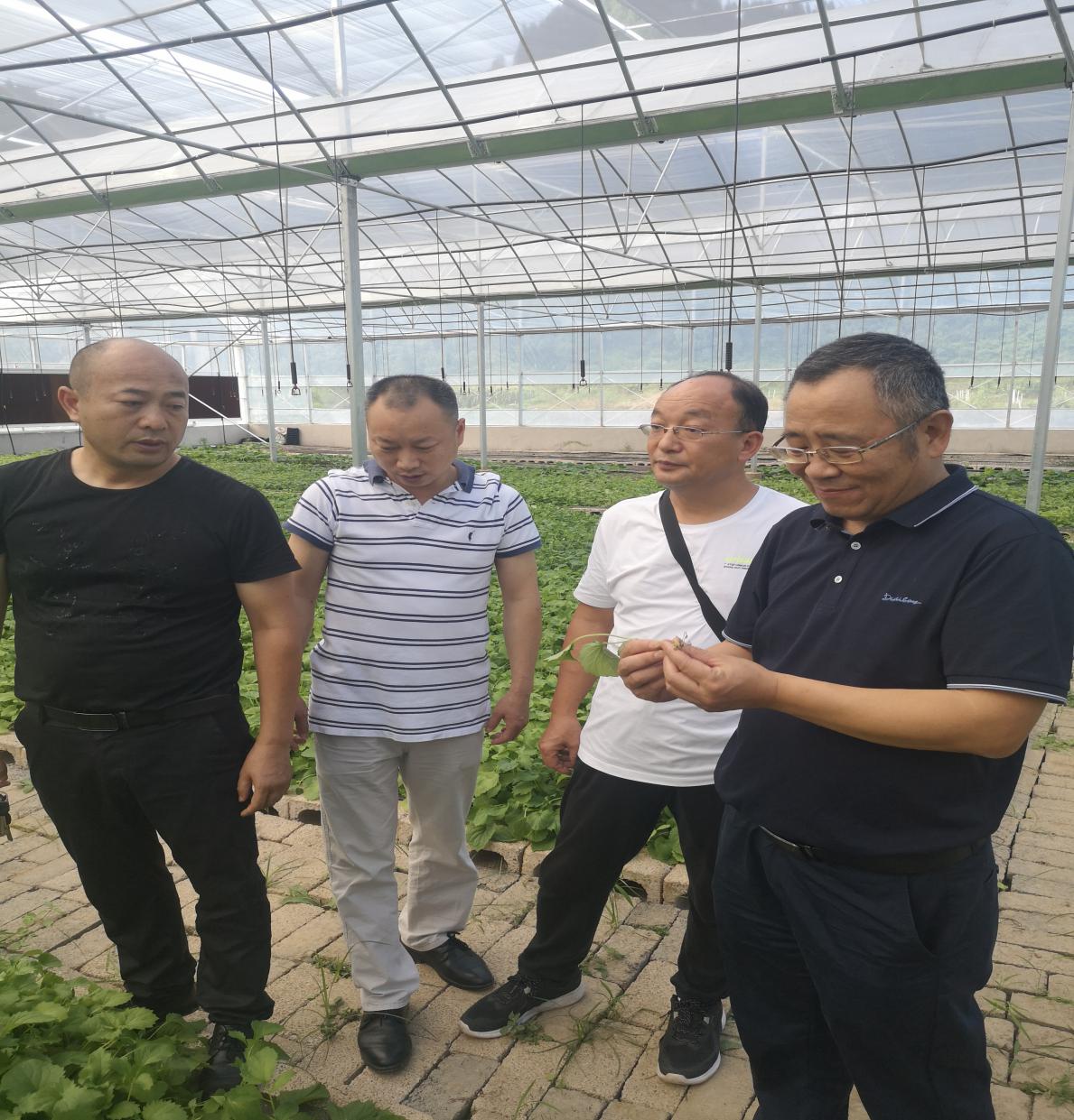 AGGAME·(中国区)集团官方网站